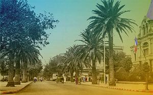 Sidi-bel-abbes 529- Bd Republique